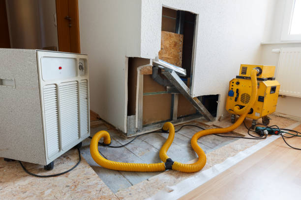 Best Mold Prevention Services  in Darby, PA